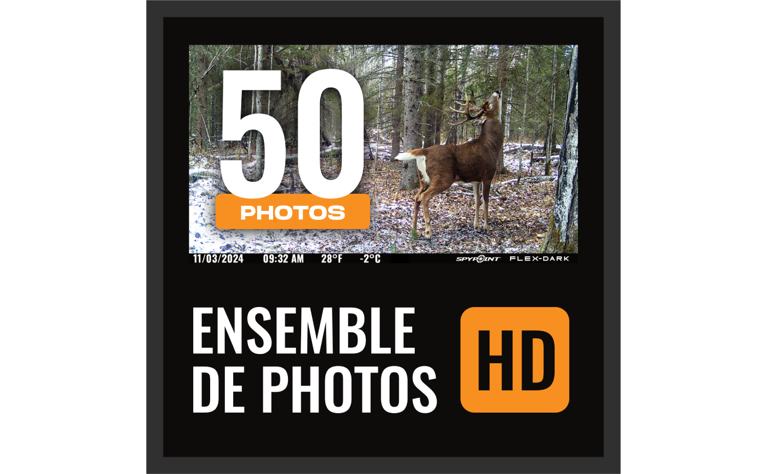 Photo Full-HD sur demande